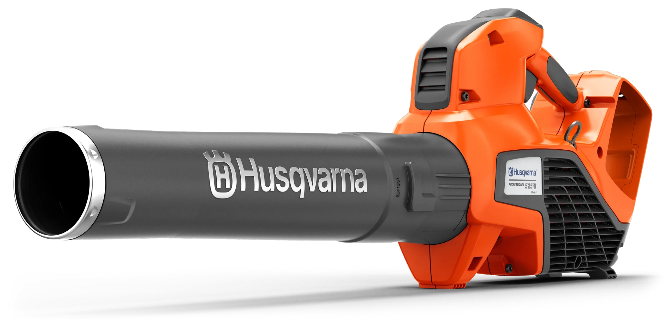 BS-194171
