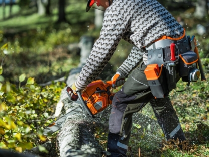 tiek zāģēts koks ar husqvarna 450s zāģi
