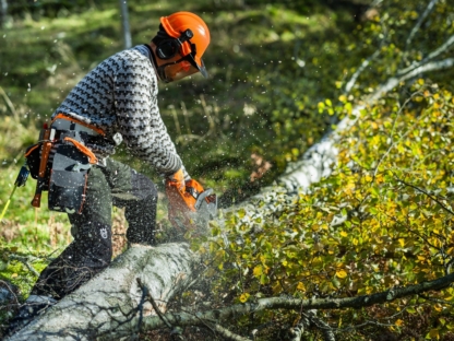 tiek atzarots koks ar husqvarna 450s zāģi