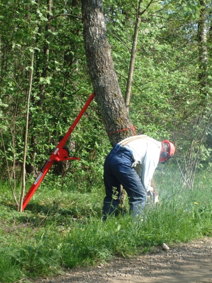 Vīrietis pie koka kas atbalstīts ar "Reipal" "RH-Pusher" koku gāšanas instrumentu